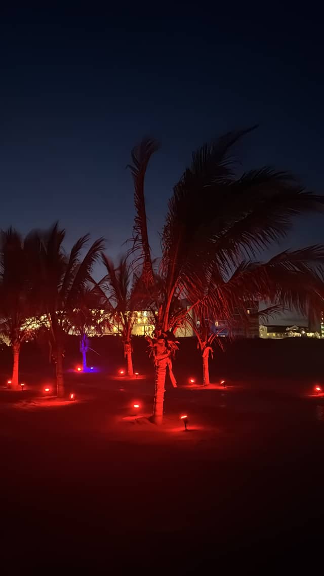 Icona Diamond Beach Palm Grove - Image 1