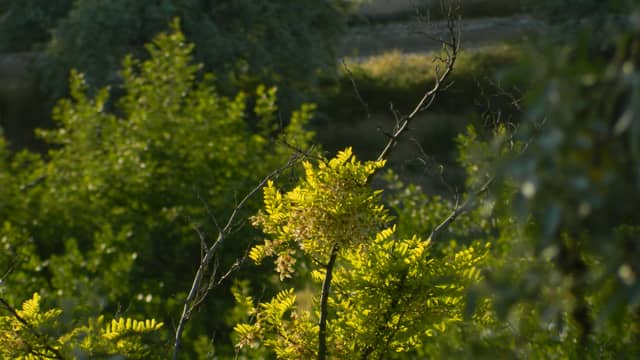 Etimesgut - Image 1