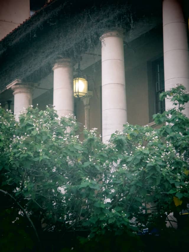University of Cape Town Upper Campus - Image 1