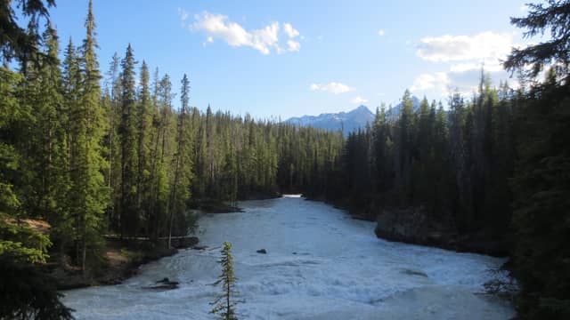 Athabasca River Overlook - Image 1