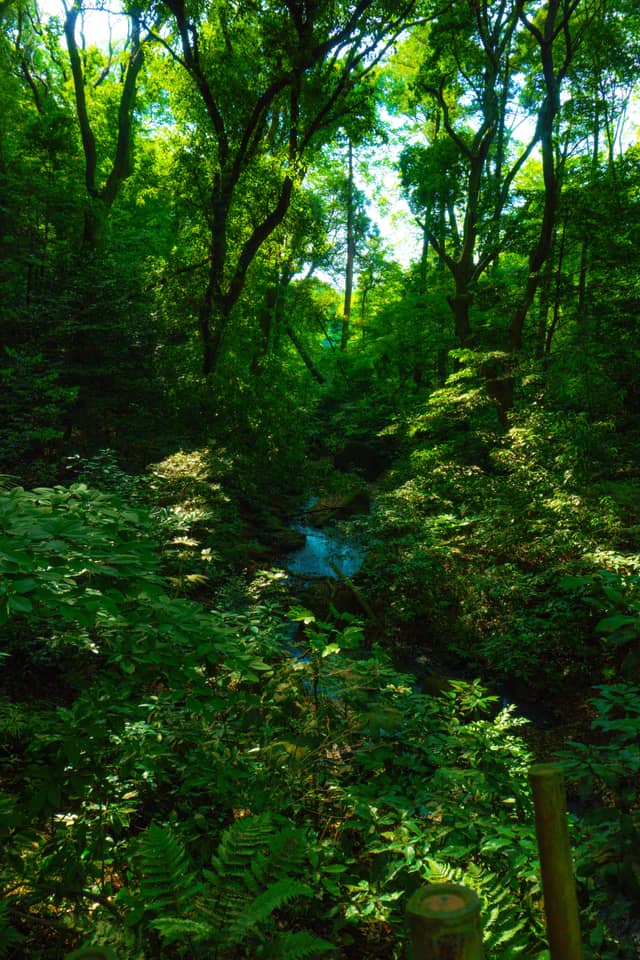 Meiji Jingu Inner Garden - Image 1