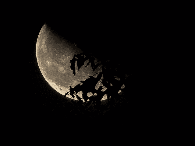 Crescent Moon Silhouette, Sleman - Image 1