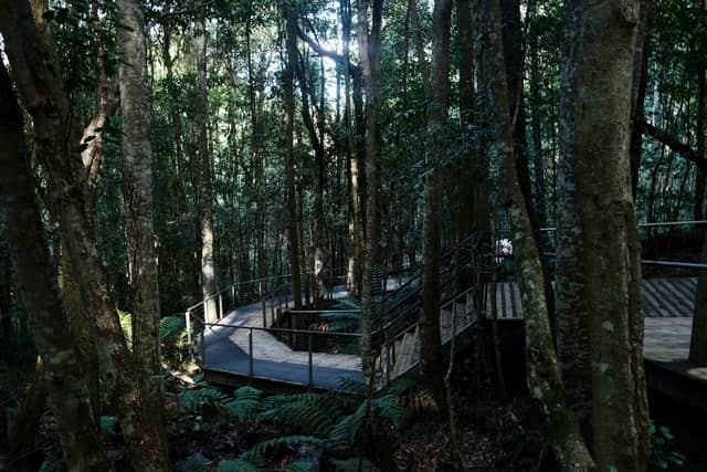 Scenic World Boardwalk - Image 1