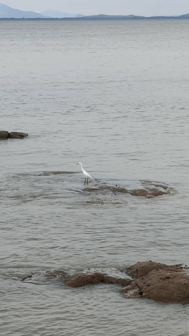 George Town Coastal Shoreline - Image 1