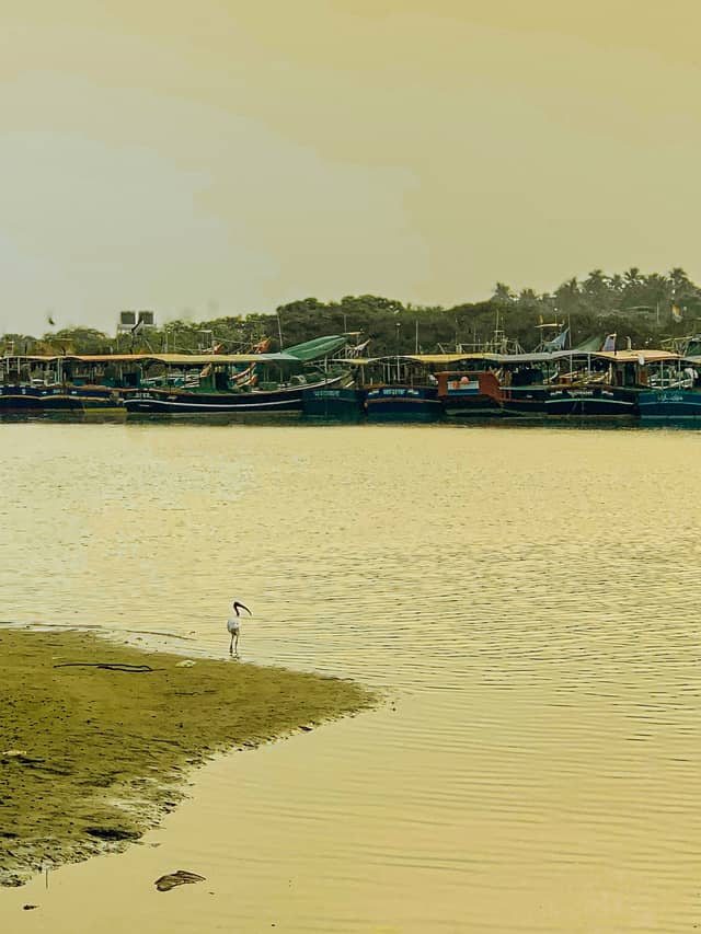 Ponnani Harbour - Image 1