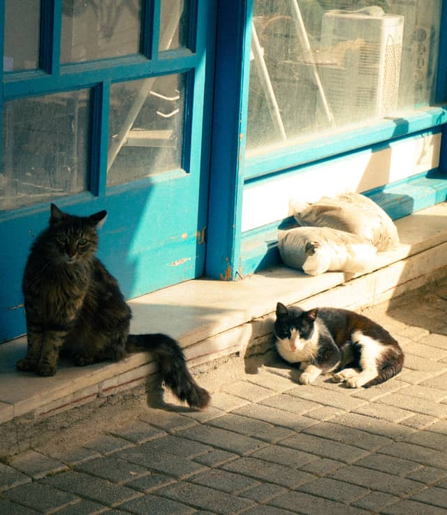 Volada Village Streets - Image 1