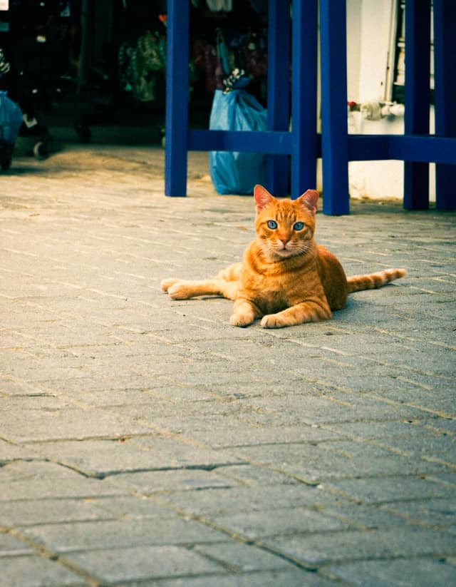 Volada Village Streets - Image 1