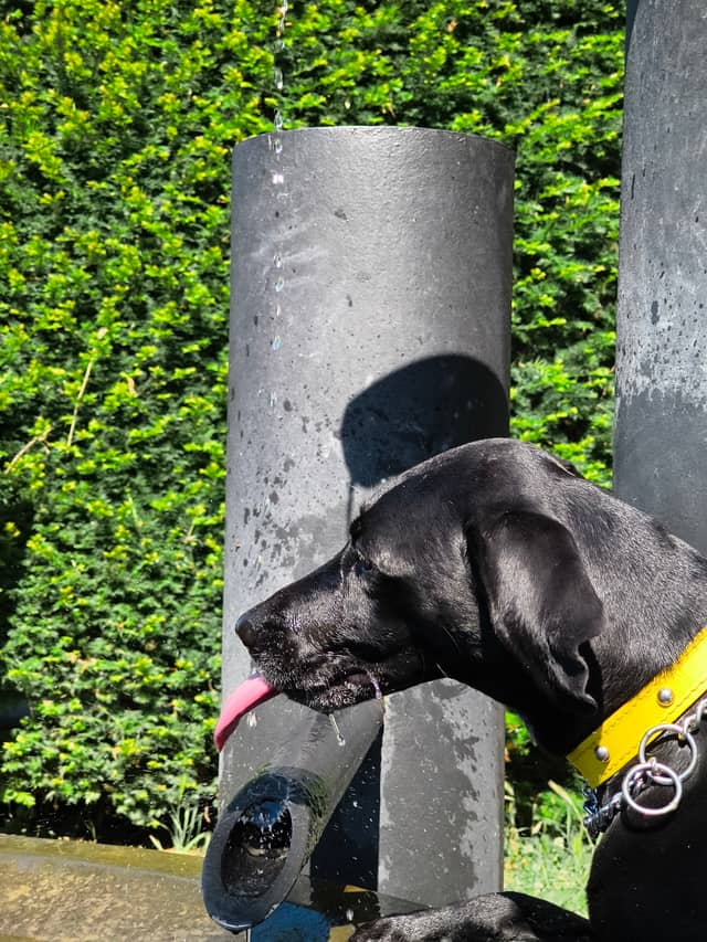 Belgrade Zoo Water Fountain - Image 1