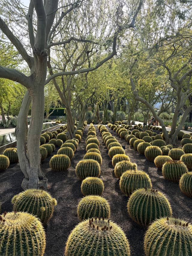 Sunnylands Center & Gardens - Image 1