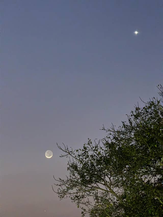 Dandia Bazaar Twilight Sky - Image 1