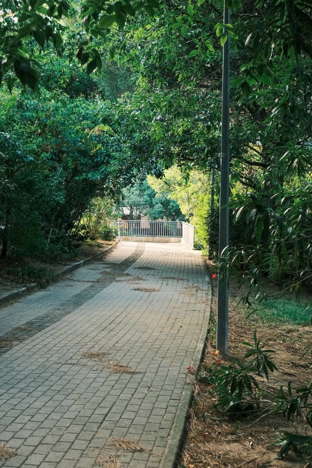 Praceta Gil Eanes Green Path - Image 1