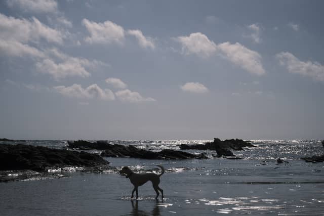Praia de Monte Clérigo Coastline - Image 1