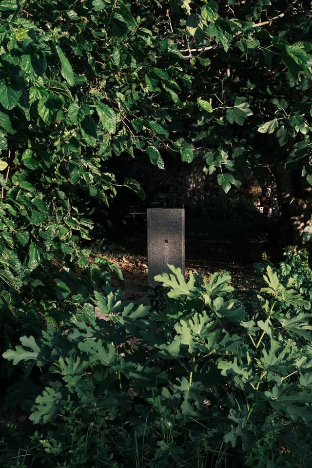 Caldas de Monchique Garden - Image 1