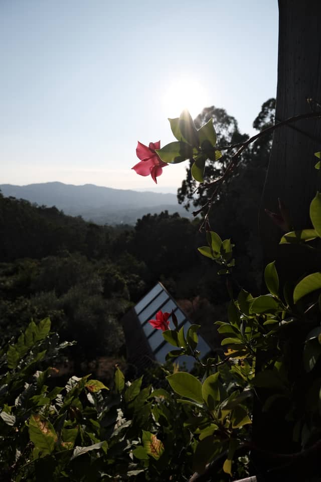 Anais Rural Viewpoint - Image 1