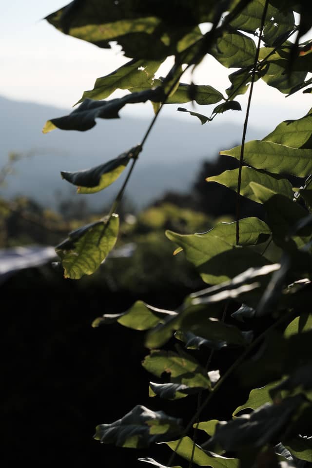 Anais Countryside Overlook - Image 1