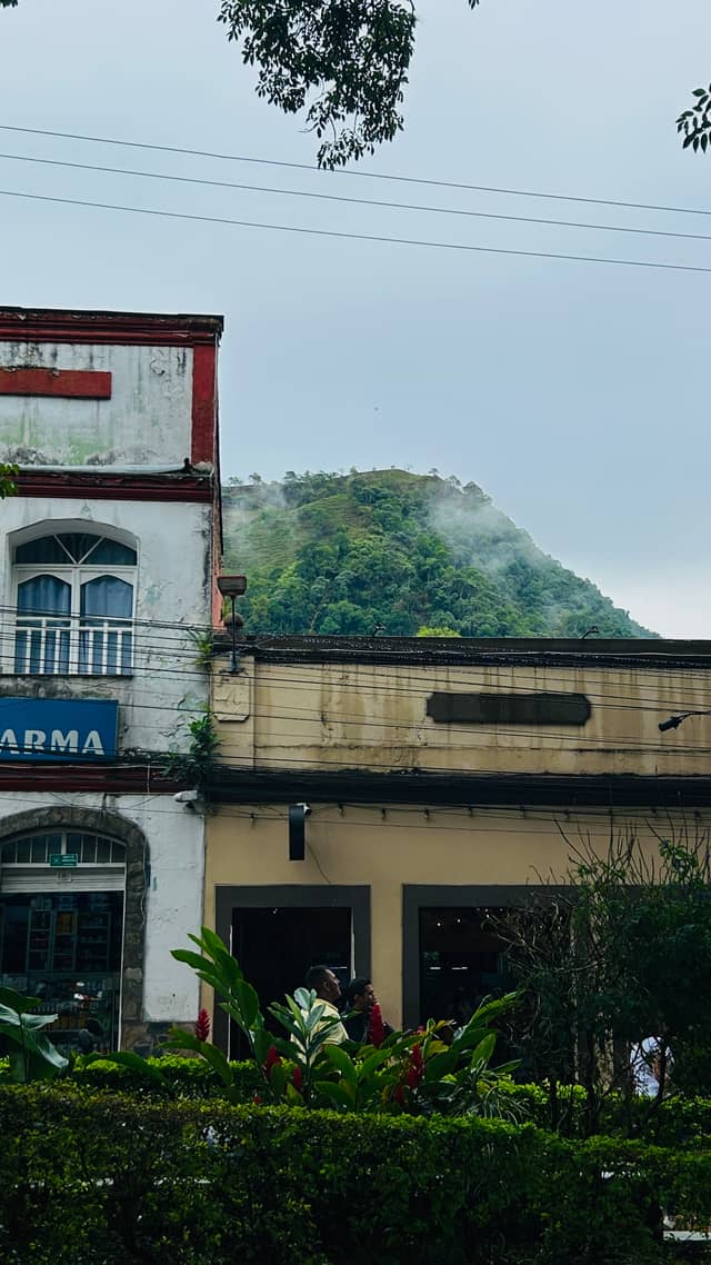 La Vega Town Center - Image 1