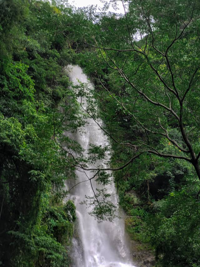 Tehri Forest Waterfall - Image 1