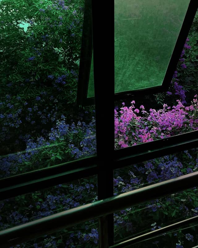 Lush Garden Window View - Image 1