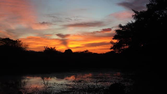Amaravathi Road Wetlands - Image 1