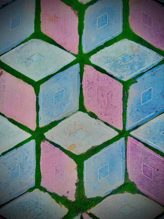 Mossy Geometric Paving - Image 1