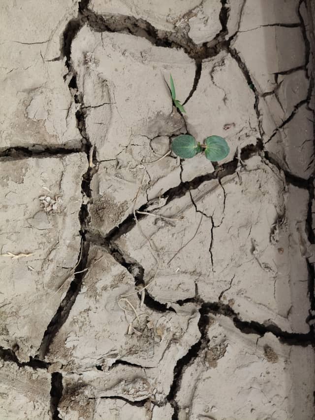 Sanouras Agricultural Textures - Image 1