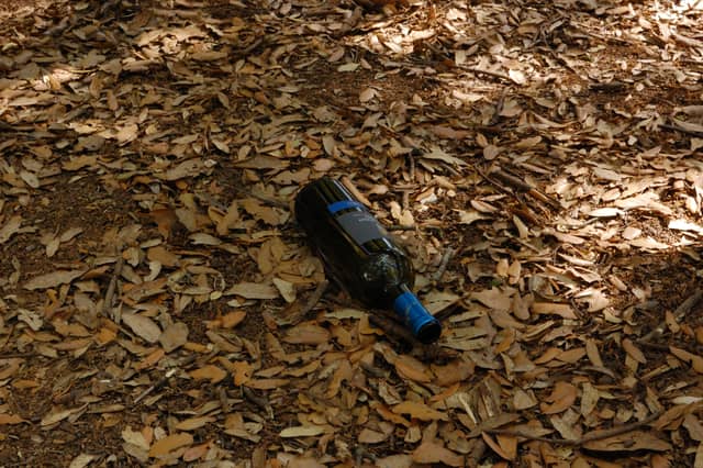 Woodlands of Corciano - Image 1