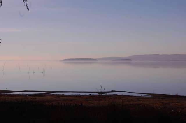 Lake Trasimeno Shoreline - Image 1