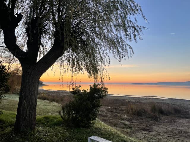 Lake Trasimeno Shoreline - Image 1