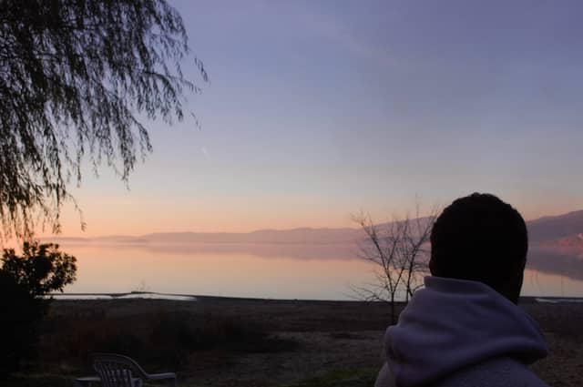 Lake Trasimeno Shoreline - Image 1