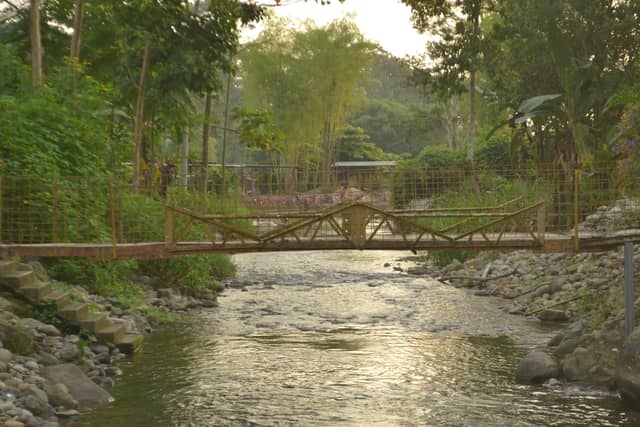 Tropical River Footbridge - Image 1