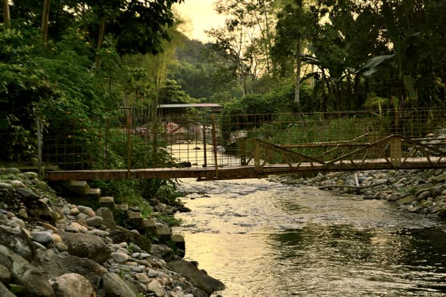 Rio Quindigua Footbridge - Image 1