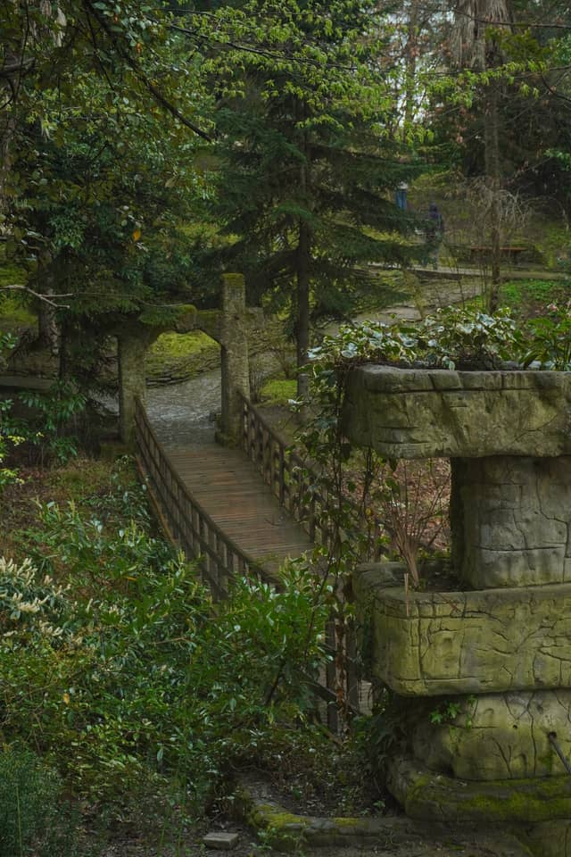 Sochi Arboretum (Dendrarium) - Image 1