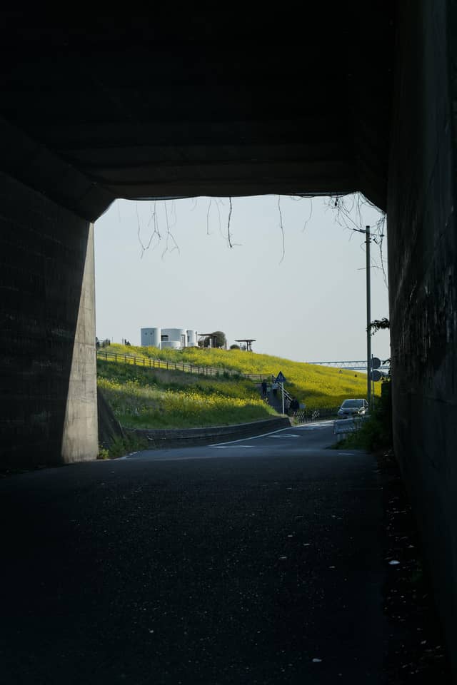 Edogawa Riverbank Misato - Image 1