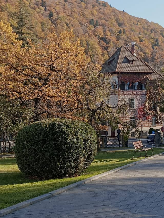 Sinaia Historic Villa and Autumn Slopes - Image 1