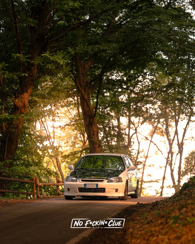 Montello Forest Roads - Image 1
