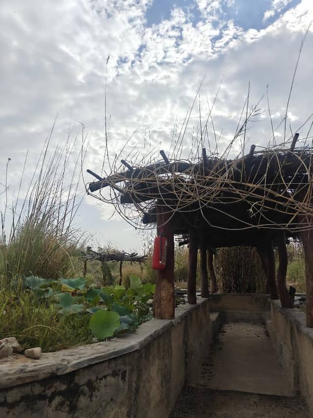 Rustic Garden Walkway, Vrindavan - Image 1