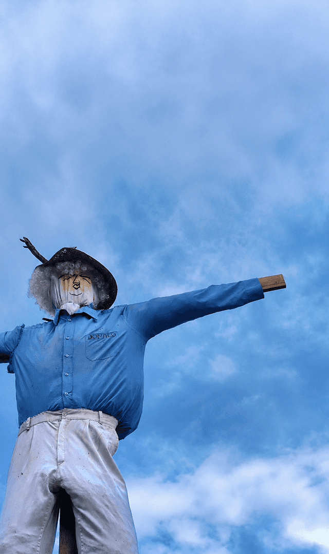 Lantarón Countryside Scarecrow - Image 1