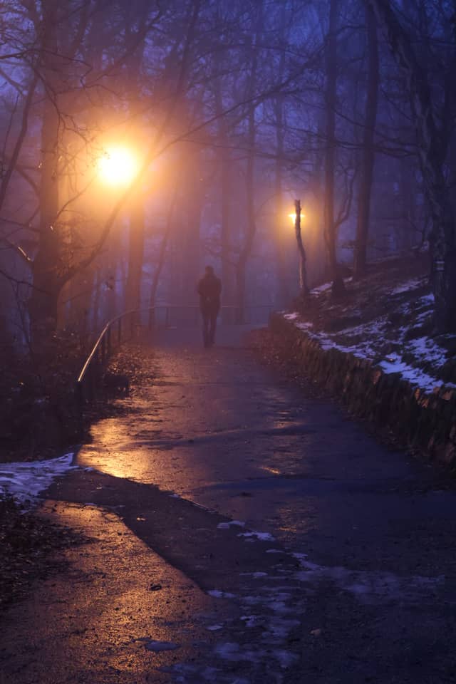 Karlovy Vary Forest Path - Image 1