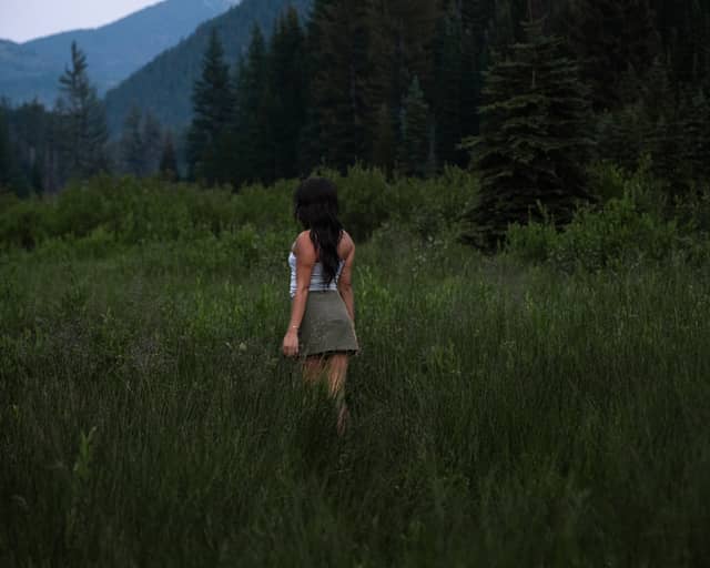 Big Cottonwood Canyon Meadow - Image 1