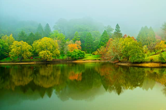 Mount Lofty Botanic Garden - Image 1