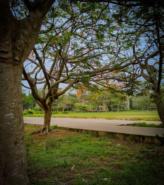 Covenant University Campus Park - Image 1