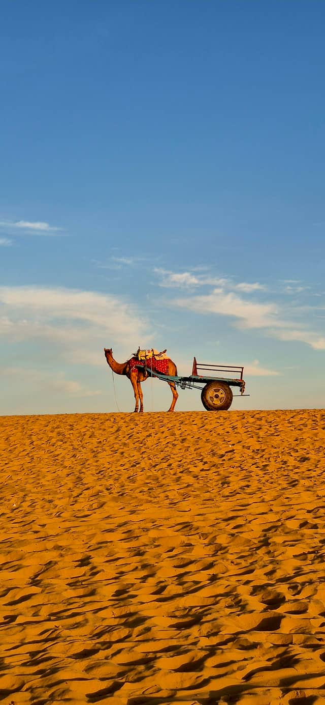 Thar Desert Sand Dunes - Image 1
