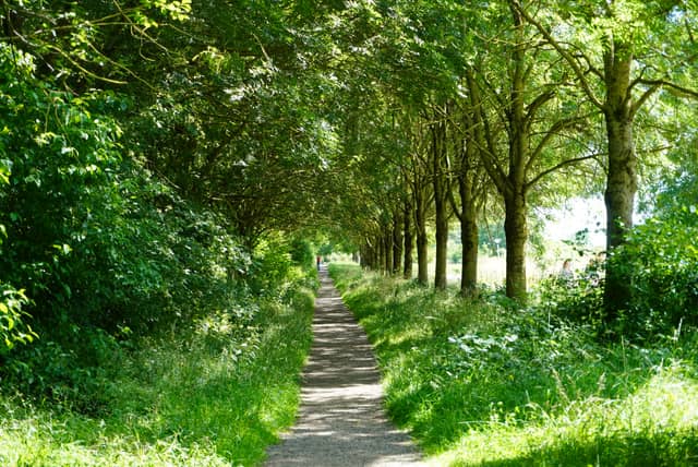 Kleine Weerd Nature Reserve Path - Image 1