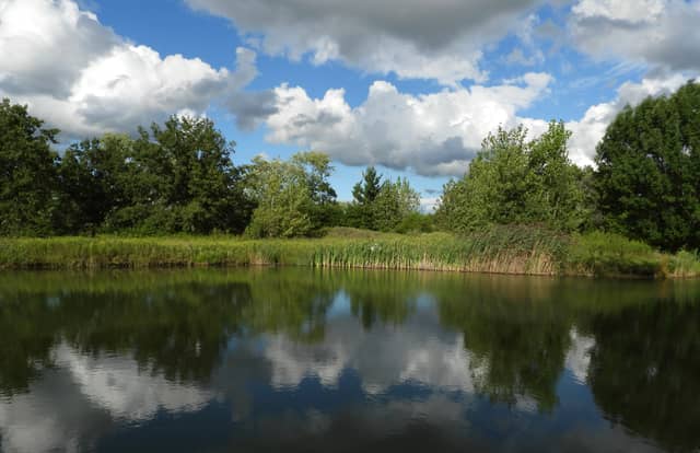 Reflective Park Pond - Image 1