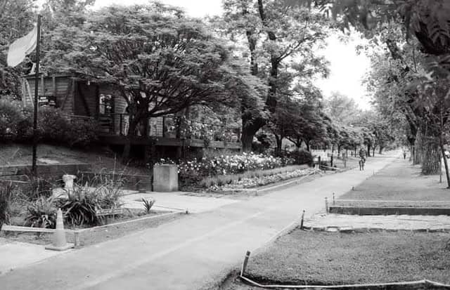 Hurlingham Park Promenade - Image 1