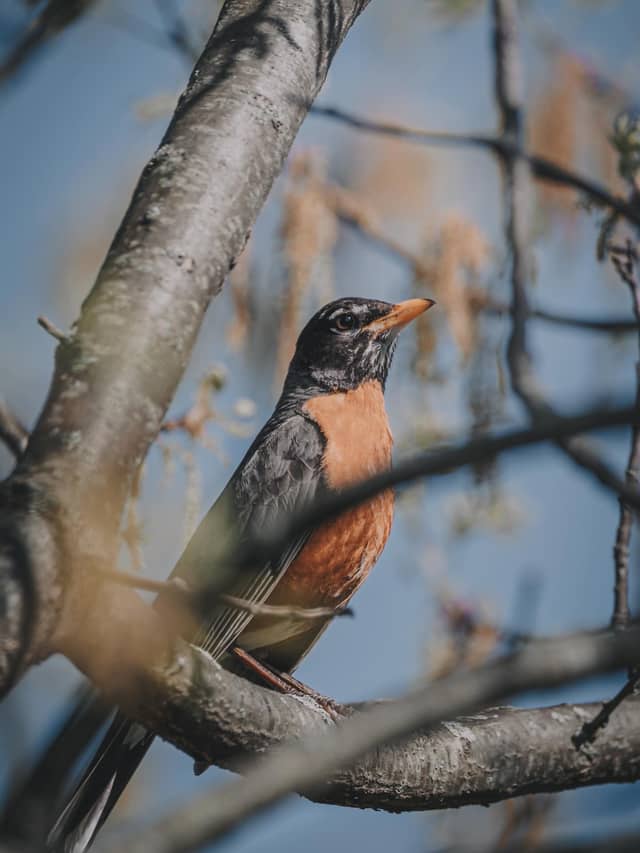 Florence Suburban Nature Spot - Image 1