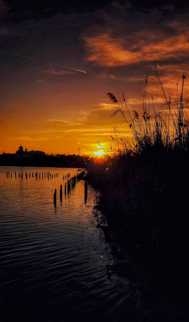 Lake Techirghiol Shoreline - Image 1