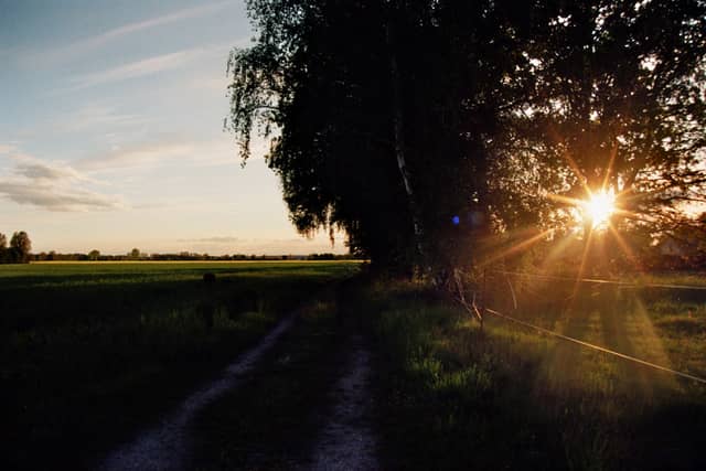 Rückersdorf Rural Sunset Path - Image 1