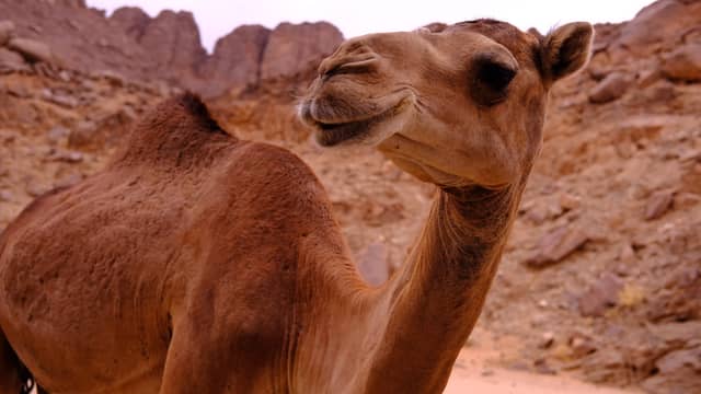 Tassili n'Ajjer National Park - Image 1