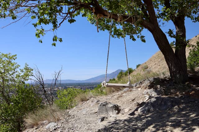 Provo Foothills Tree Swing - Image 1